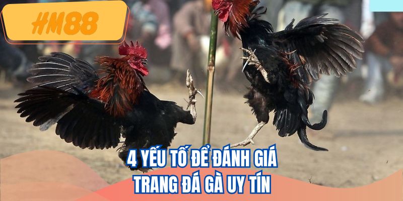 4 yếu tố để đánh giá trang đá gà uy tín