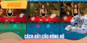 cach-bat-cau-rong-ho