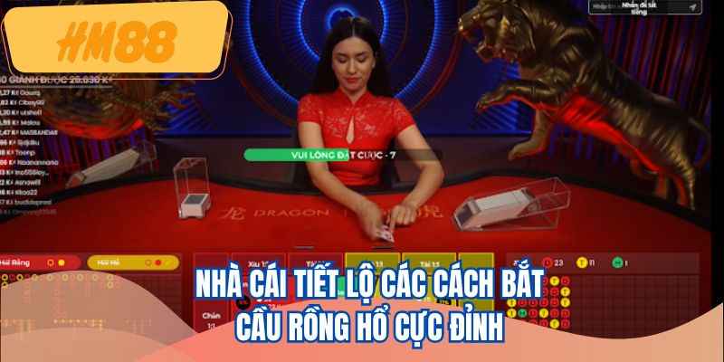Nhà cái tiết lộ các cách bắt cầu rồng hổ cực đỉnh