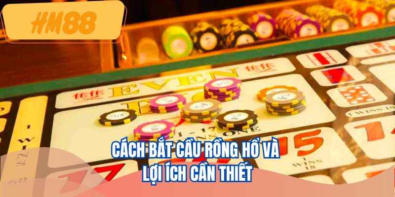 Cách bắt cầu rồng hổ và lợi ích cần thiết