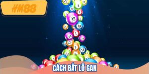 cach-bat-lo-gan