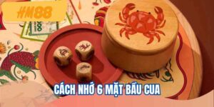 cach-nho-6-mat-bau-cua