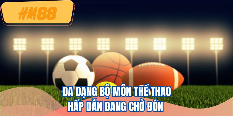 Đa dạng bộ môn thể thao hấp dẫn đang chờ đón