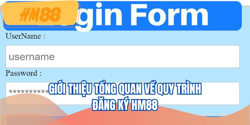 Giới thiệu tổng quan về quy trình đăng ký HM88