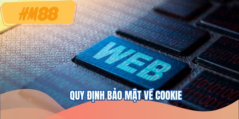 Chính sách bảo mật về sử dụng cookie từ người chơi